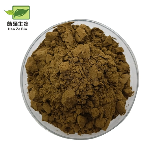 Muscle Building Ajuga Turkestanica Extract Powder 2% 10% Turkesterone Capsule